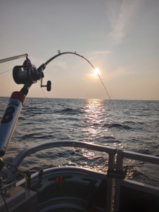 Fishing Dreams Come True: Lake Michigan